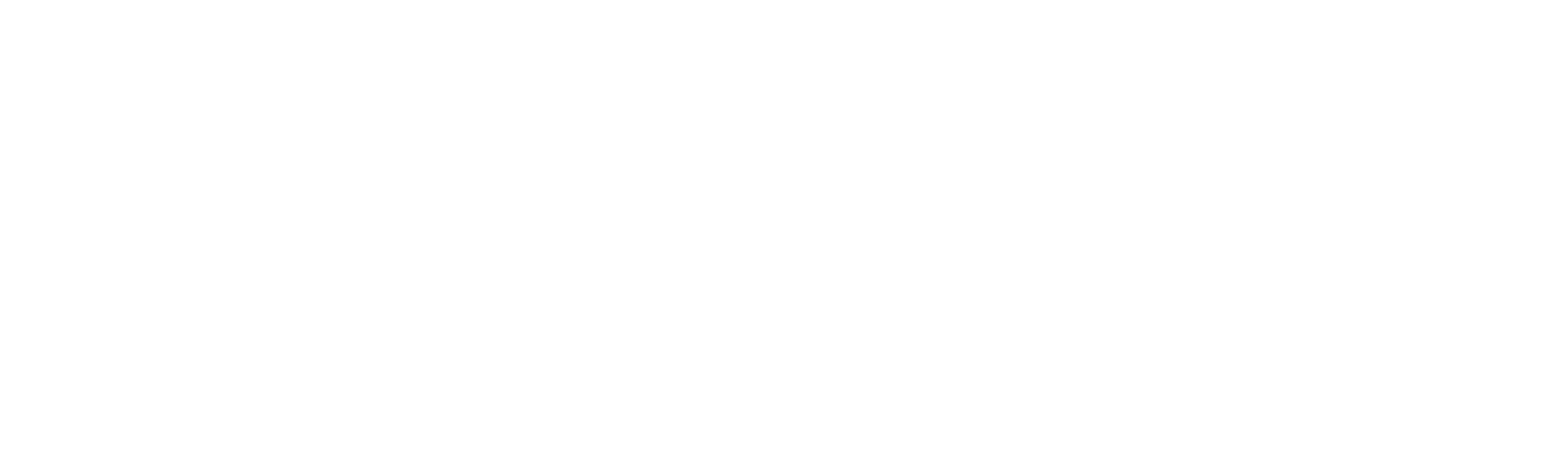 footer-logo